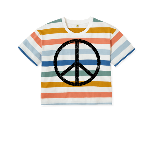 Multicolour Stripes Printed T-shirt Front